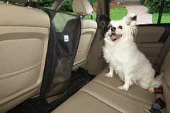 White dog sitting in car with pet barrier.